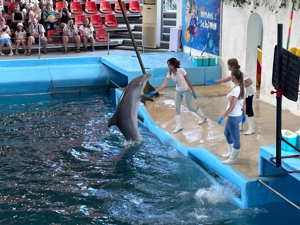 Sunny Day — Dolphinarium Varna