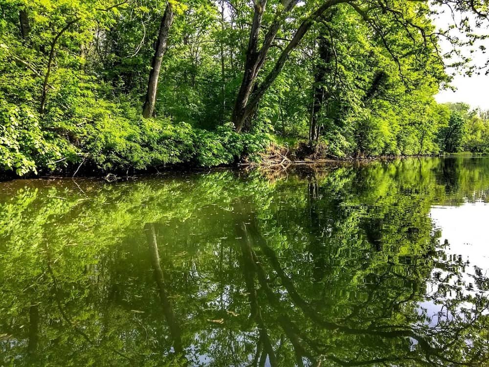Duni — Ropotamo Nature Reserve