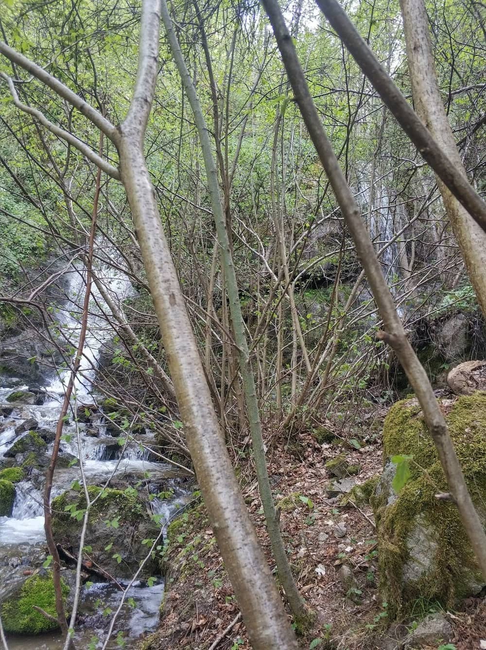 St. Nicholas Waterfall — 2