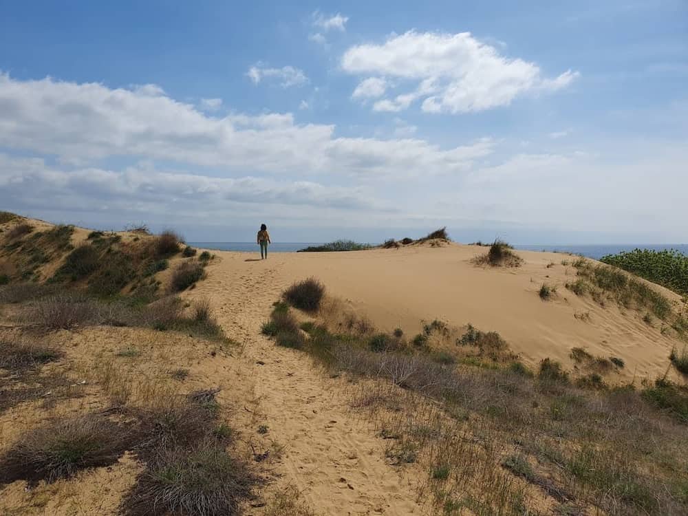 Sunset views from the sand dunes