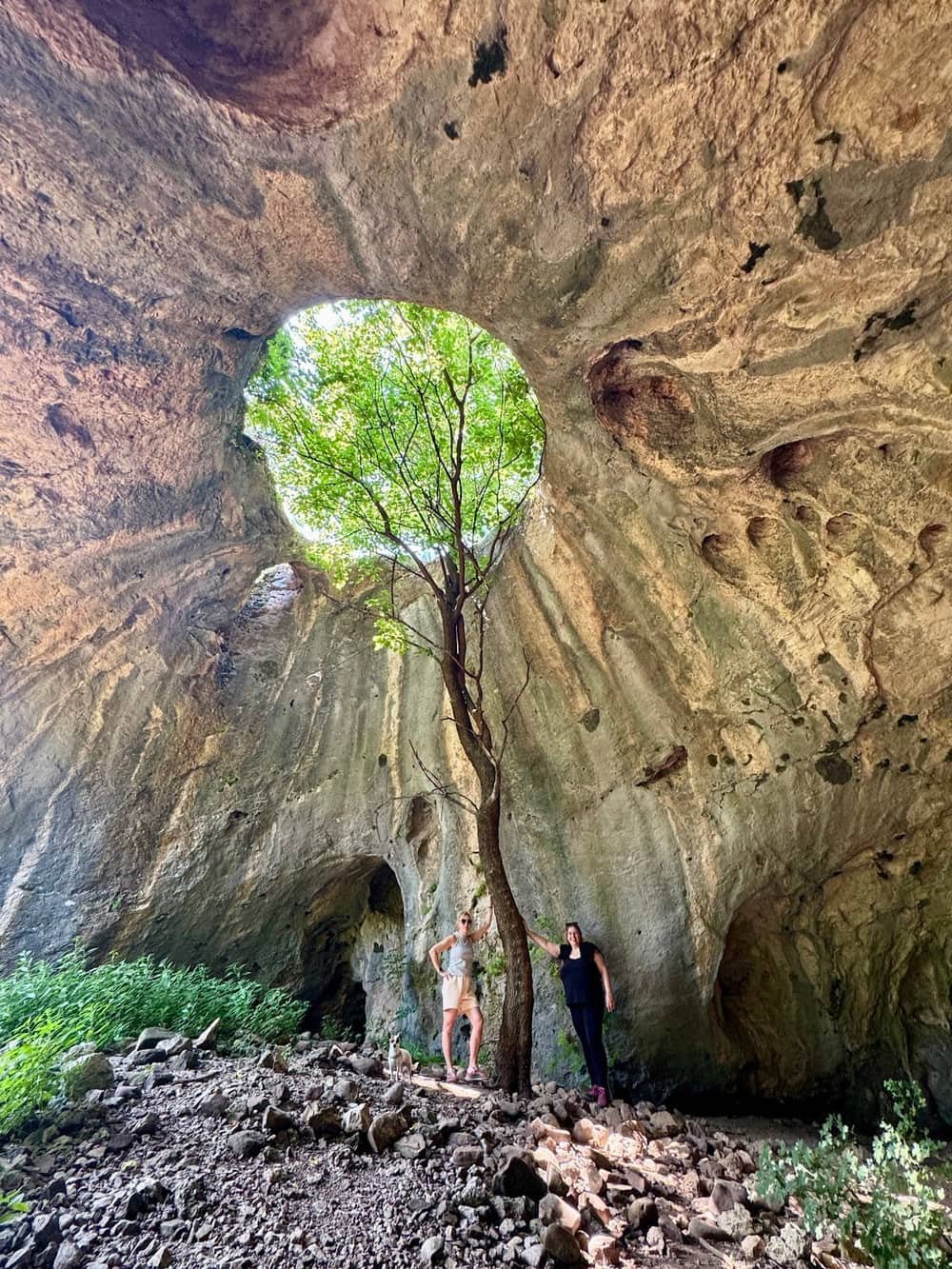Berkovitsa — The Tree Cave of Botunya