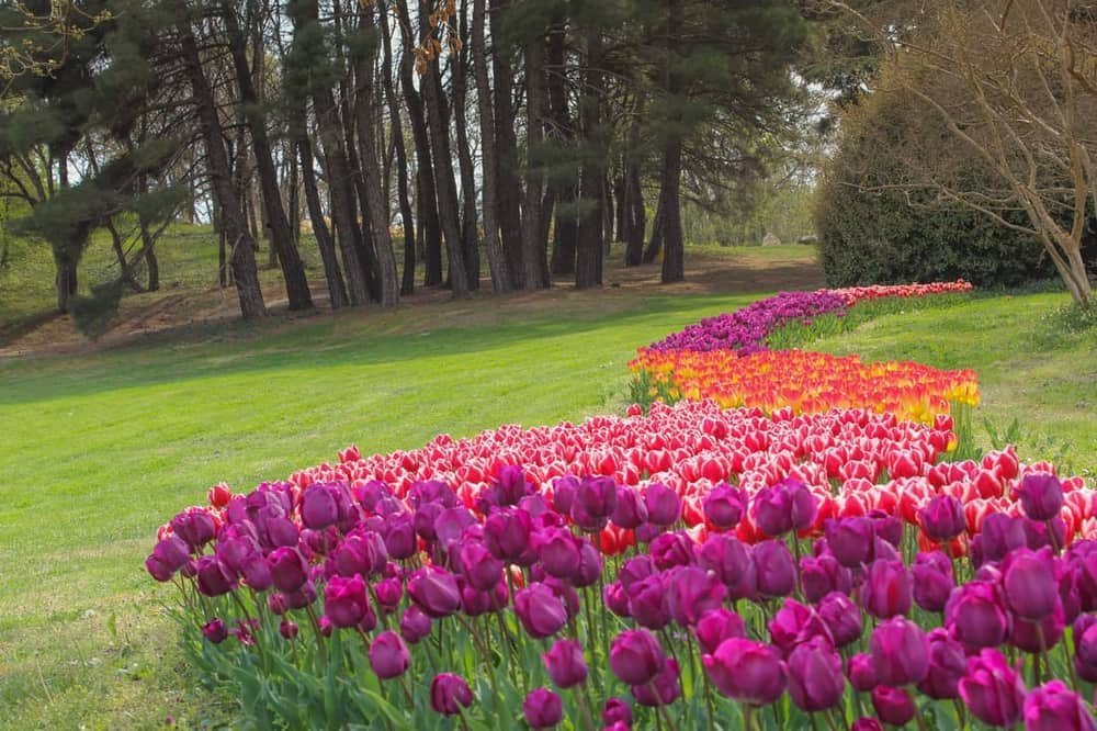 Sf. Constantin și Elena — University Botanical Garden Ecopark Varna