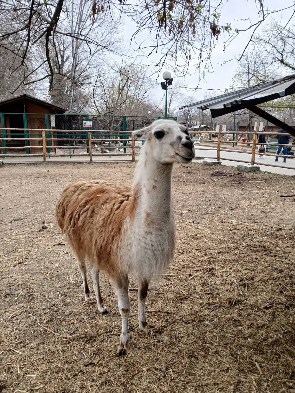 Zoo Pazardzhik — 2