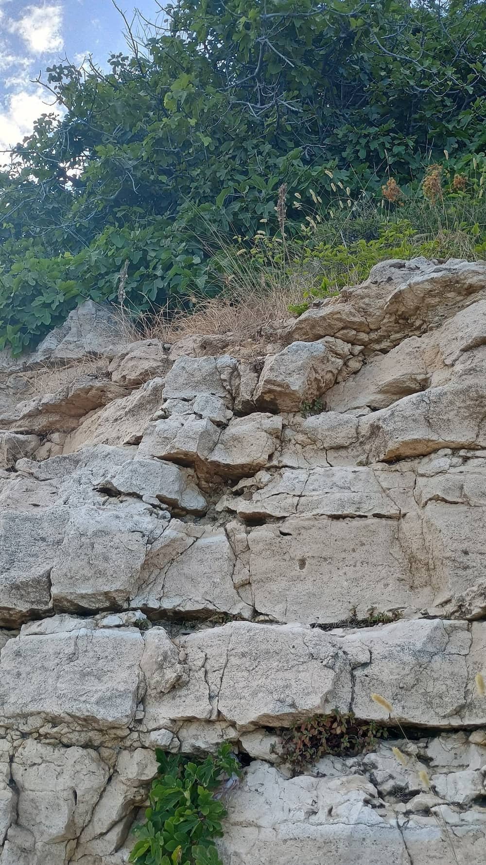 Beach Tiva del Mar — 2