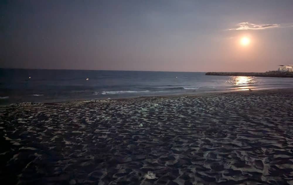 East beach Pomorie — 2