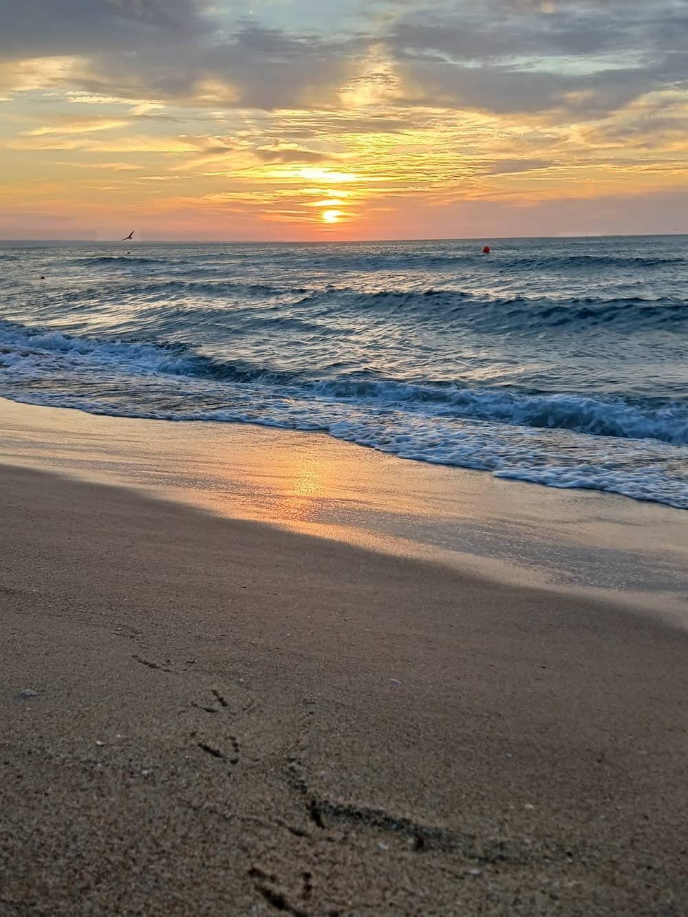 Sahara beach — 2
