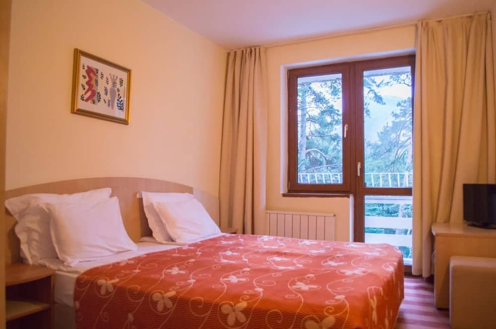 Hotel Edelvays (Sokolets Borovets Ad) — 2